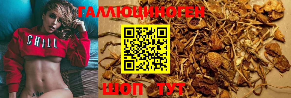 Псилоцибиновые грибы мухоморы Майский